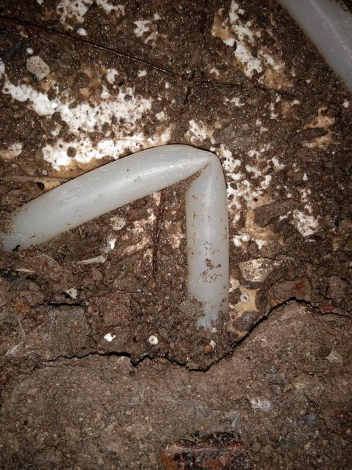 习水堵点精准查找